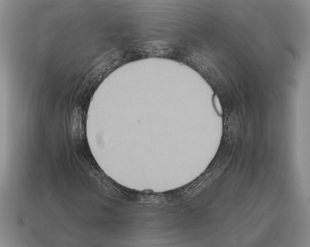 X0000112531058200909281033