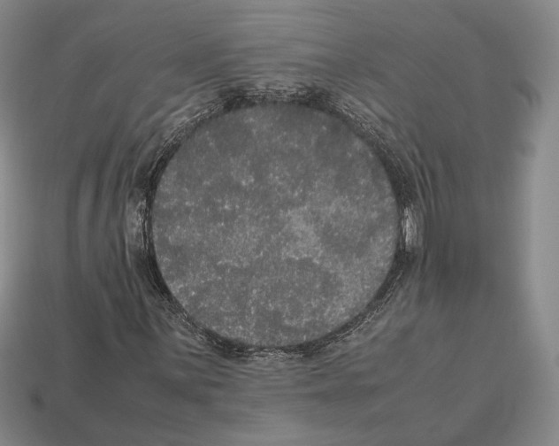 X0000112531059200909281033