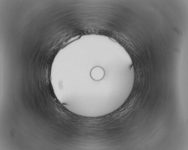 X0000112531060200909281033