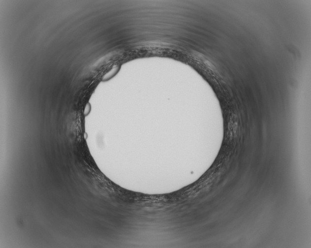 X0000112531062200909281033