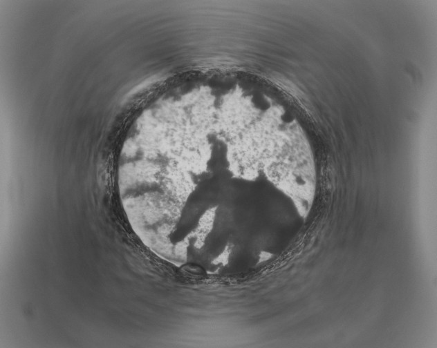 X0000112531063200909281033