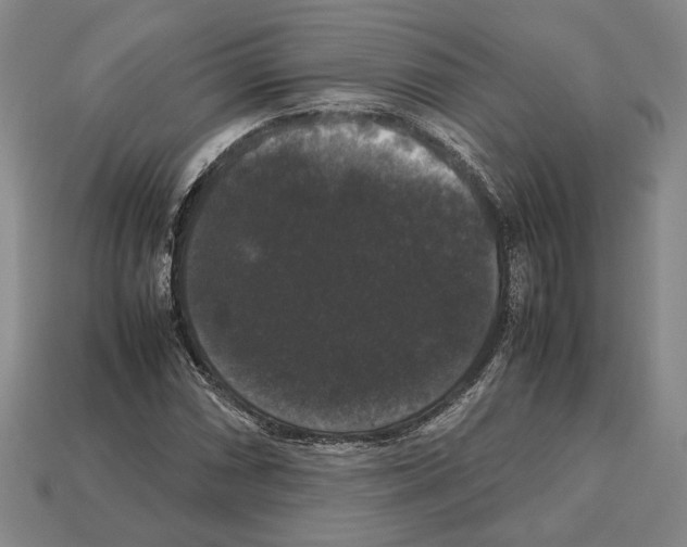 X0000112531066200909281033