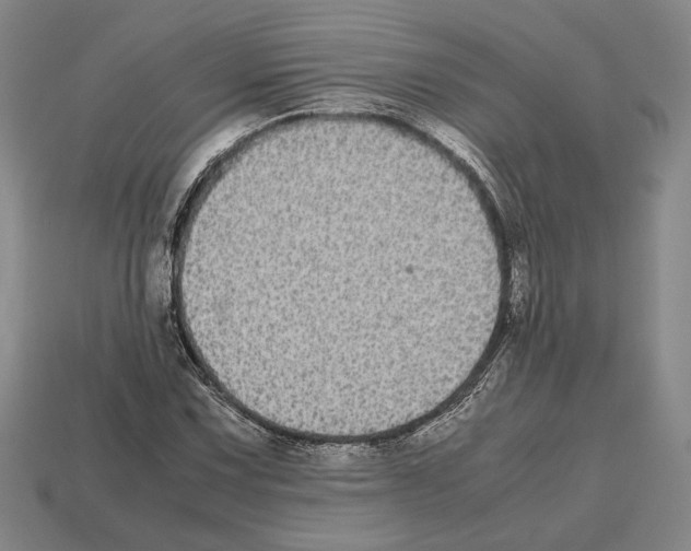 X0000112531067200909281033