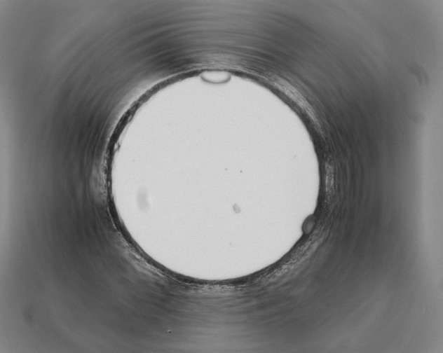 X0000112531068200909281033