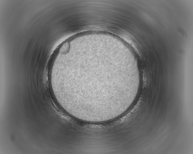 X0000112531070200909281033