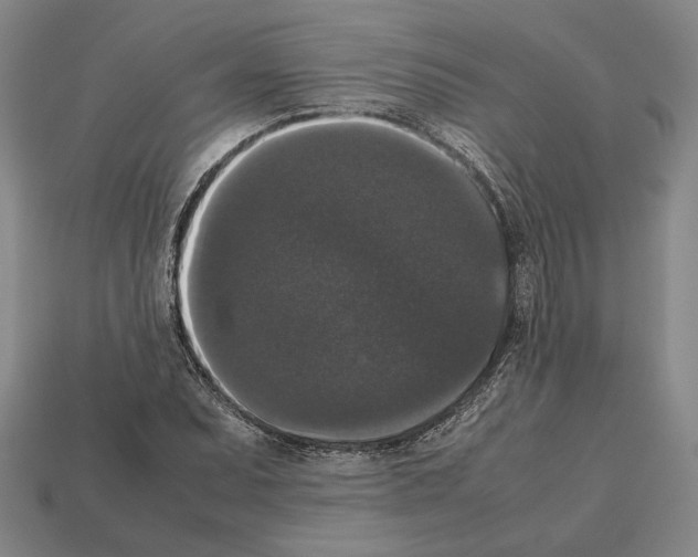 X0000112531071200909281033