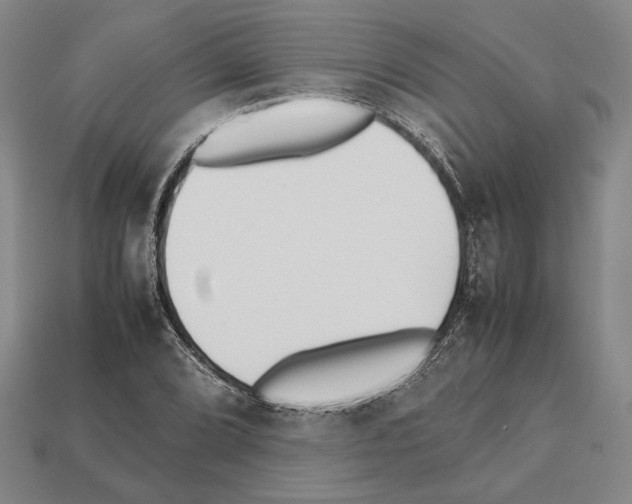 X0000112531072200909281033