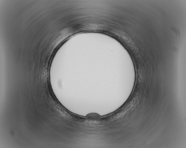 X0000112531073200909281033