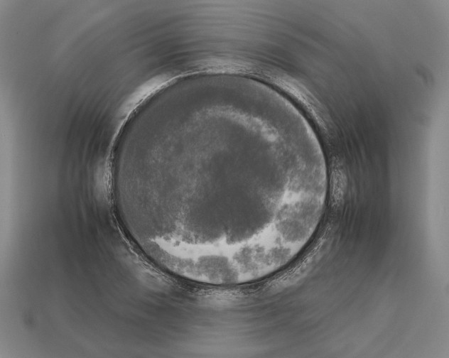 X0000112531074200909281033