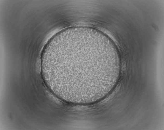 X0000112531075200909281033