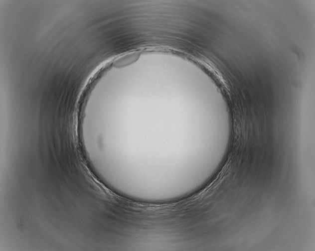 X0000112531076200909281033