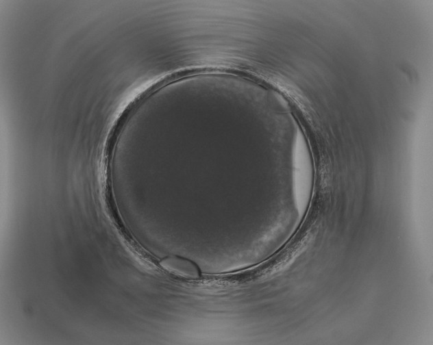 X0000112531077200909281033