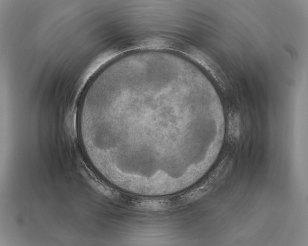 X0000112531078200909281033