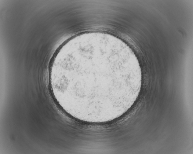 X0000112531079200909281033