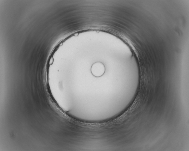 X0000112531080200909281033