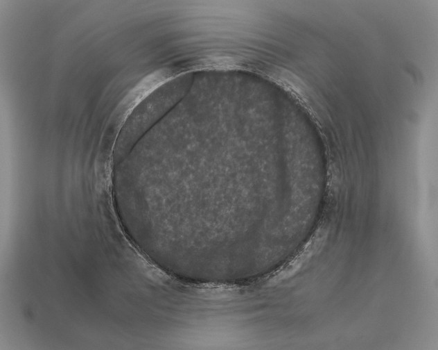 X0000112531081200909281033