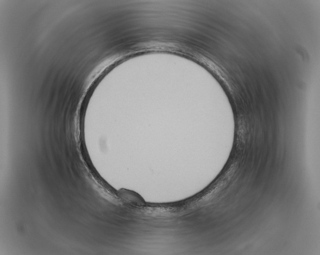 X0000112531082200909281033