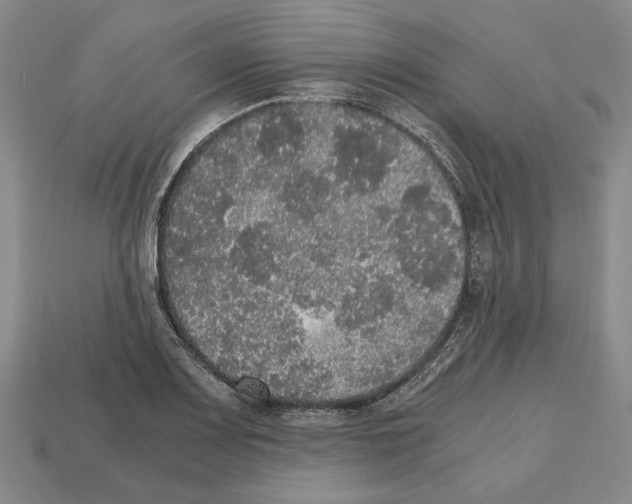 X0000112531083200909281033