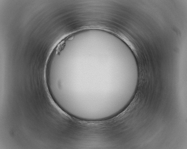 X0000112531084200909281033