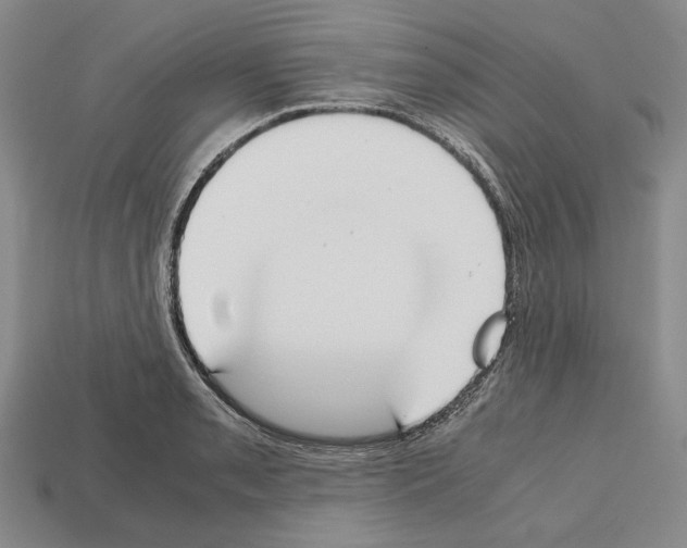 X0000112531085200909281033