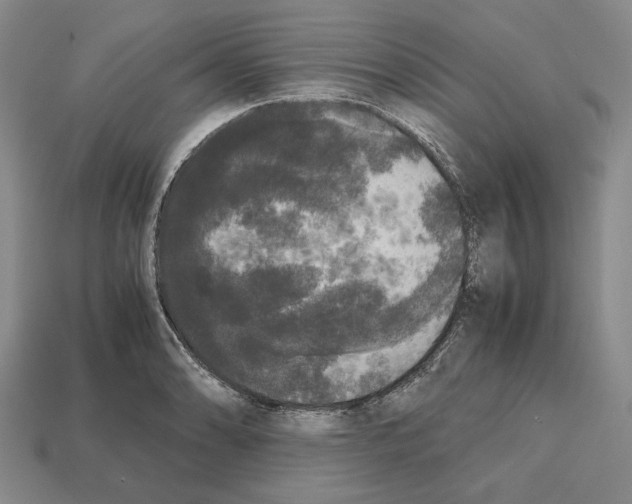 X0000112531086200909281033