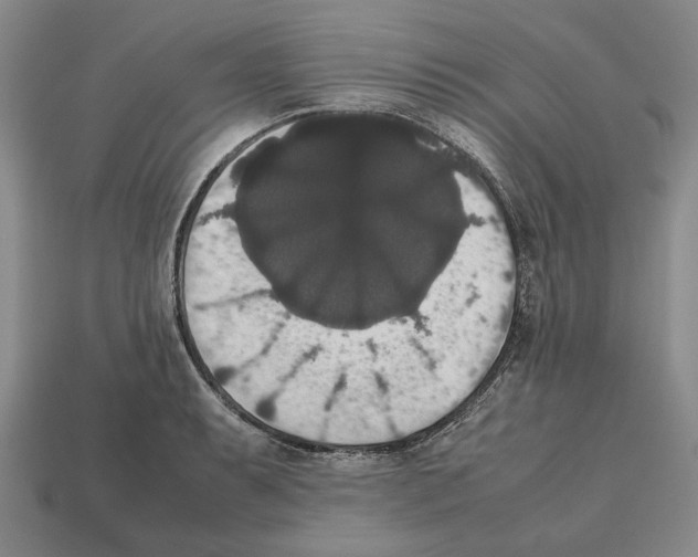 X0000112531087200909281033