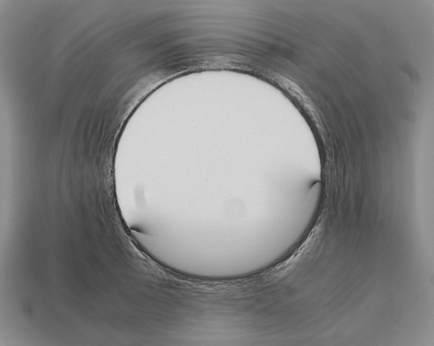 X0000112531089200909281033