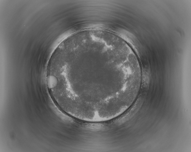 X0000112531090200909281033