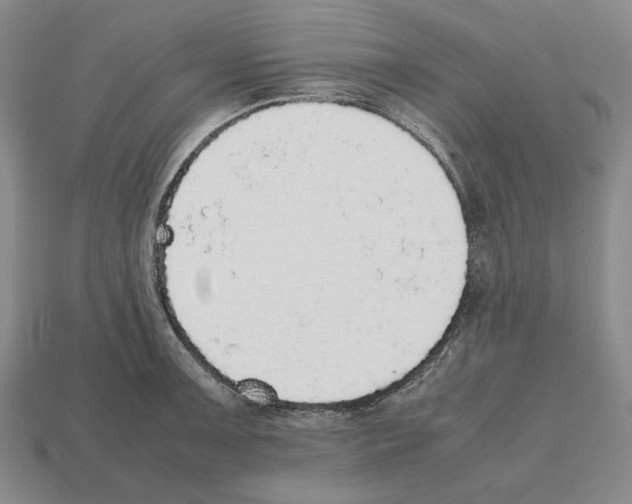 X0000112531091200909281033