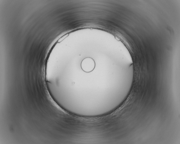 X0000112531092200909281033