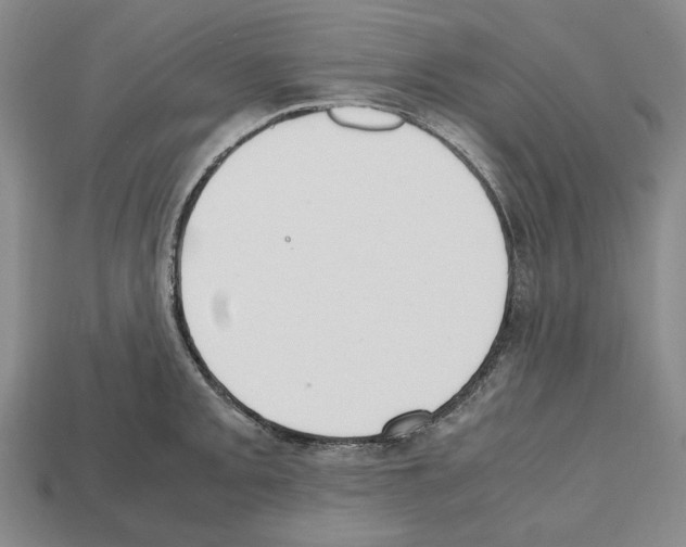 X0000112531093200909281033