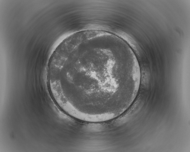 X0000112531094200909281033