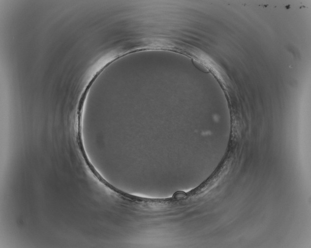 X0000112531095200909281033