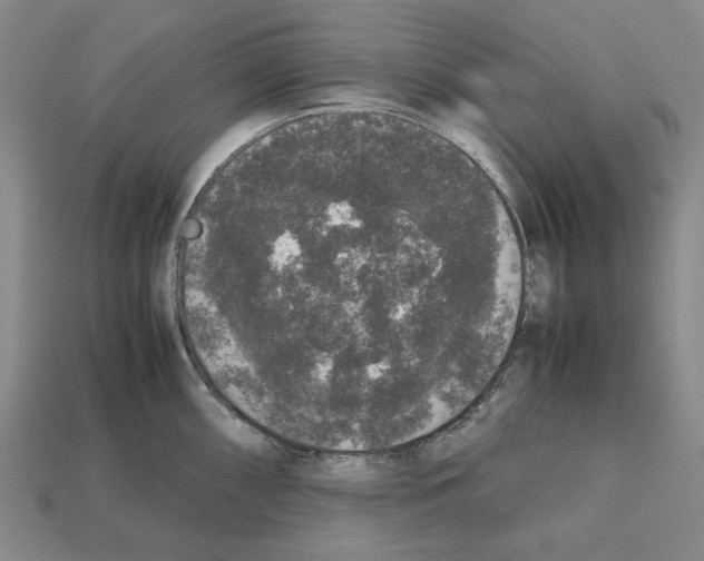 X0000112531098200909281033