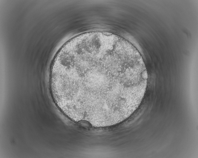 X0000112531099200909281032