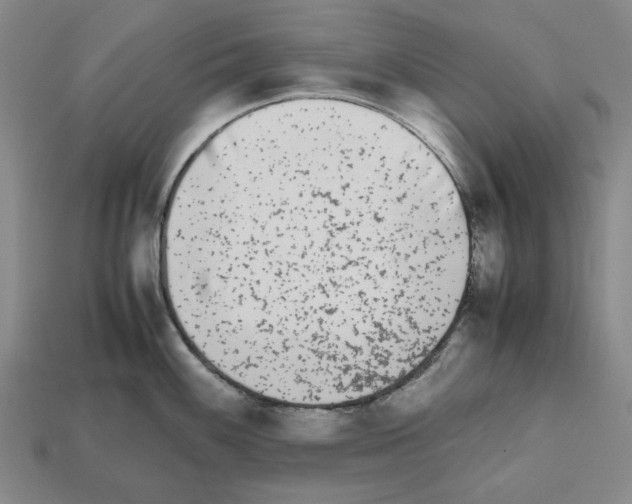 X0000112531100200909281032