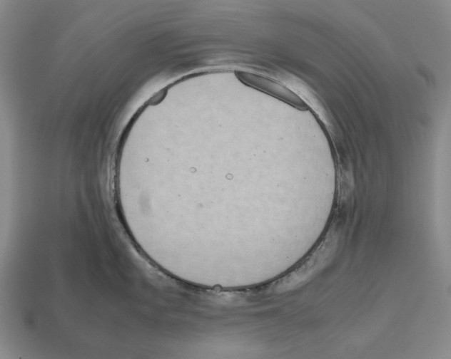 X0000112531101200909281032