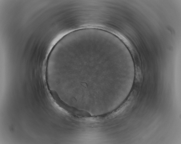 X0000112531102200909281032