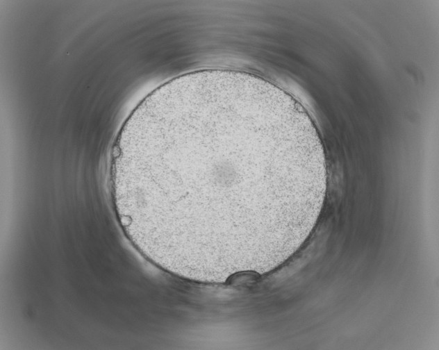 X0000112531103200909281032