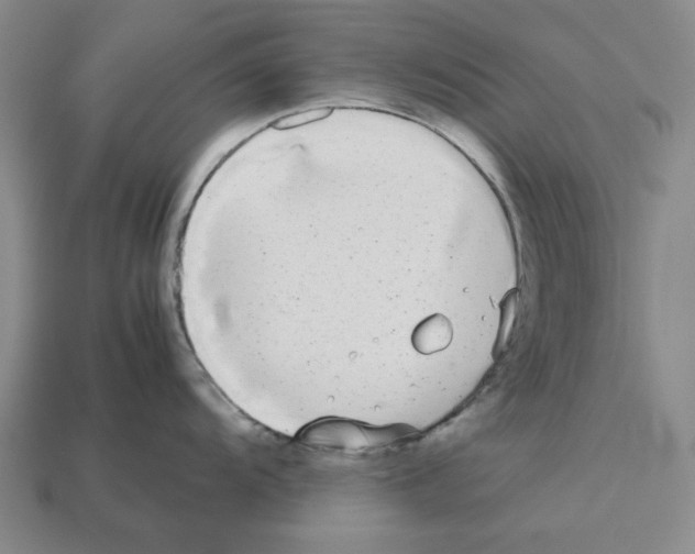 X0000112531104200909281032