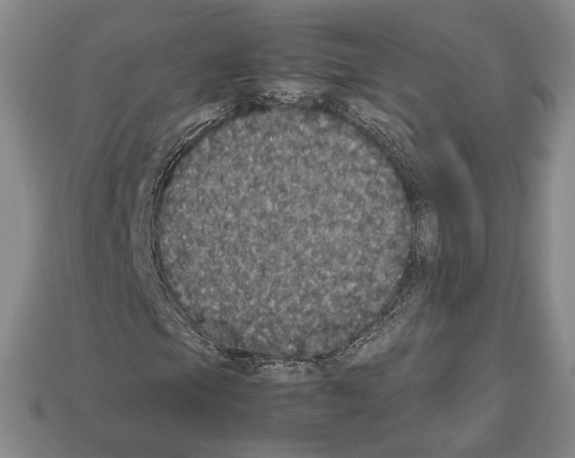 X0000112531105200909281032