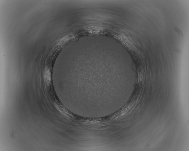 X0000112531106200909281032