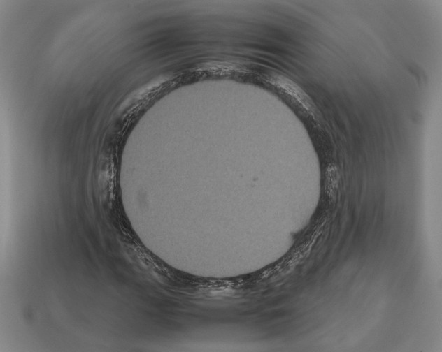 X0000112531111200909281032