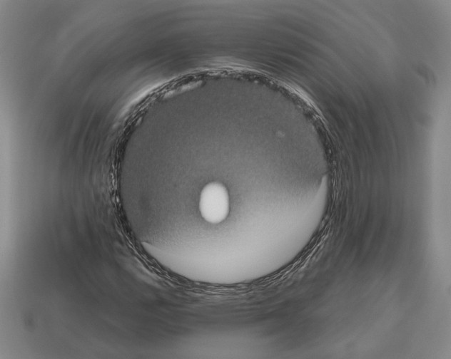 X0000112531112200909281032