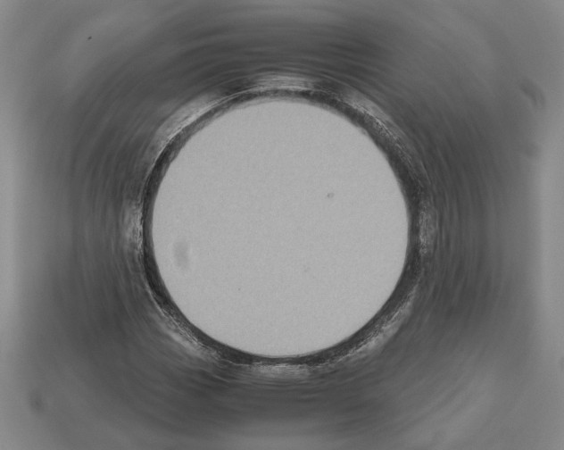 X0000112531113200909281032