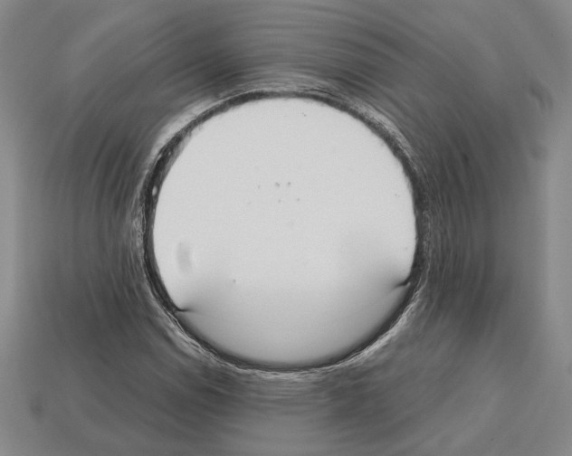 X0000112531114200909281032