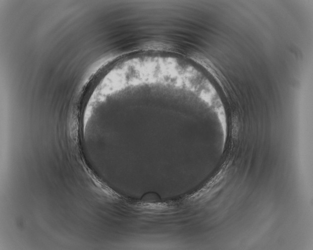 X0000112531115200909281032