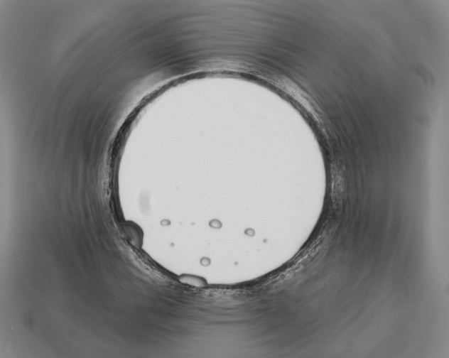 X0000112531116200909281032