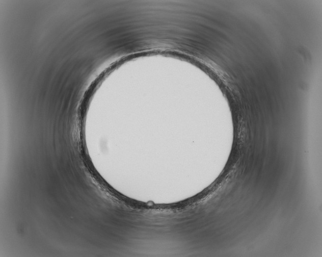 X0000112531118200909281032