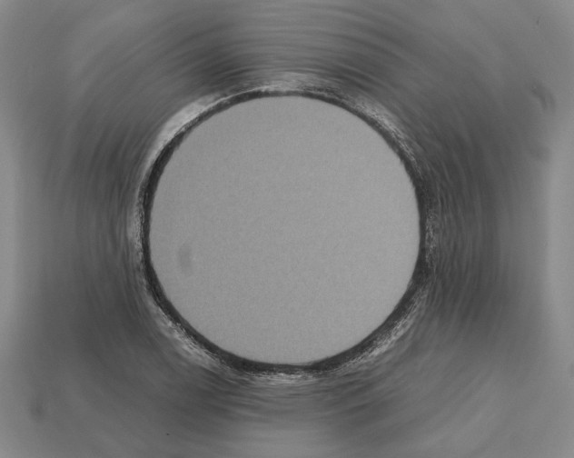 X0000112531122200909281032